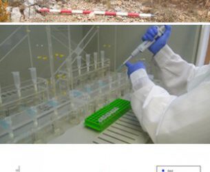 Conociendo los hábitos alimenticios y movilidad en el Neolítico del Prepirineo oscense mediante isótopos de carbono, nitrógeno y estroncio