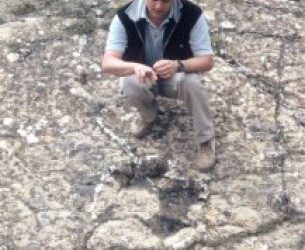 Estudiando la Paleobiodiversidad de los grandes ornitópodos del Cretácico Inferior