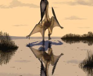 El tamaño si que importa: Descrito un pterosaurio gigantesco