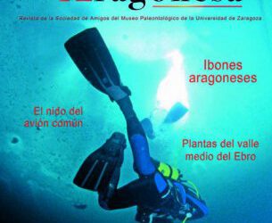 Concedido el Premio José María Savirón a la Sampuz