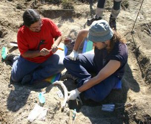 Nuevos descubrimientos de sirenios en el Pirineo aragonés