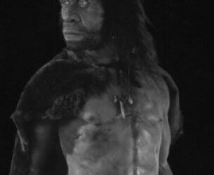 Los neandertales más antiguos de Cataluña datados gracias a la microfauna asociada