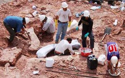 Recuperado un nuevo dinosaurio en Rincón de los Sauces, Argentina