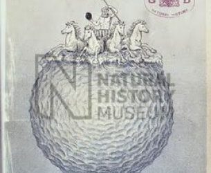 Crónicas de Nummuloesfera