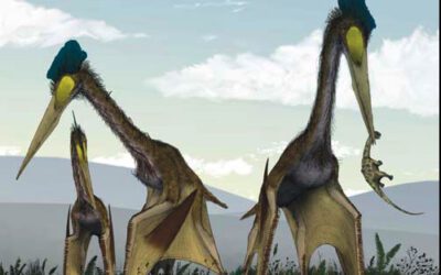 Los pterosaurios gigantes cazaban en tierra firme