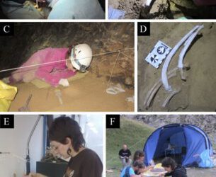 Los yacimientos de vertebrados pleistocenos a mayor altitud de España se encuentran en el Pirineo Aragonés. Los osos y bucardos fósiles del Pirineo.