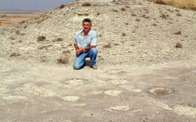 Preparado para la visita un nuevo yacimiento de icnitas de mamíferos