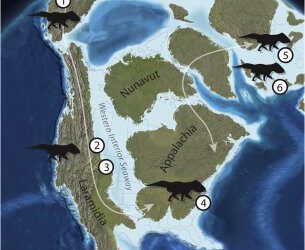 También había dinosaurios ceratopsios en el continente de Appalachia