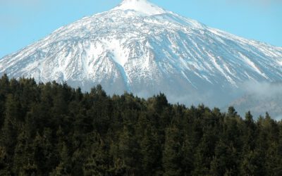 2008 Año Internacional del Planeta Tierra