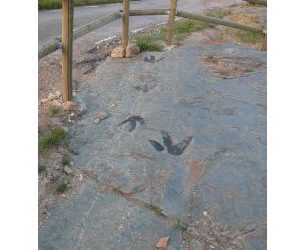 La Ruta de las icnitas de Tierras Altas