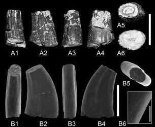 Sobre la biodiversidad de los dinosaurios del Cretácico Inferior de Teruel