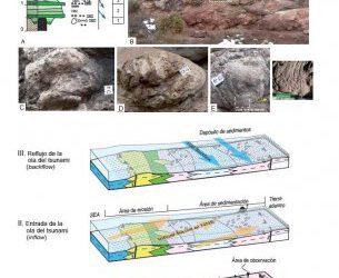 Un tsunami hace 128 millones de años fosilizo cientos de pisadas de dinosaurios