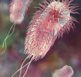 Nuevos datos científicos en contra del Diseño Inteligente