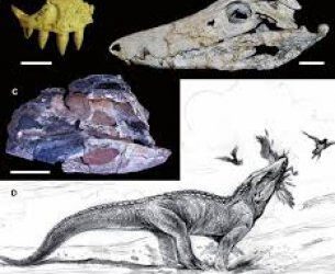 Contribuciones a la Paleontología del Cretácico de Latinoamérica.