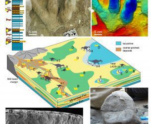 Una ventana para mirar donde vivían los dinosaurios del Maestrazgo turolense