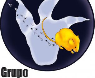 Ya tenemos el nuevo logotipo