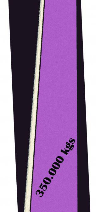 La campaña de este año, de Atapuerca 2012 estará marcada por el grito de ¡Agua para las mangueras!