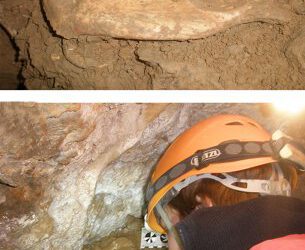 Cuando las hienas de las cavernas habitaban el Moncayo