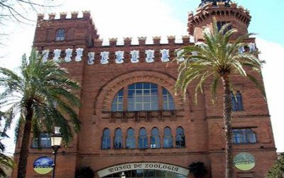 Nuevo Museo de Ciencias Naturales en Cataluña