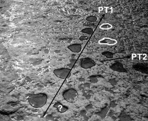 Huellas de saurópodo en una playa actual: La playa de Parede