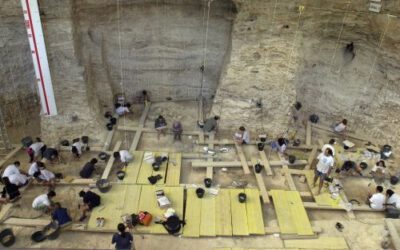 Publicado un estudio sobre los micromamíferos del Abric Romaní