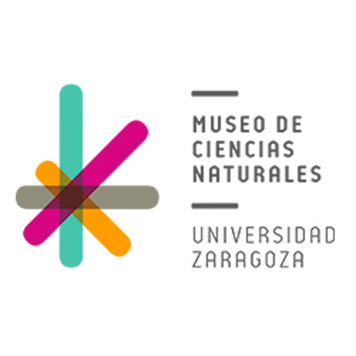 Logo Museo