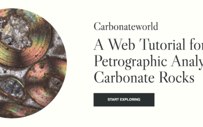 Carbonate World: un recurso imprescindible para el análisis petrográfico