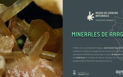 Inauguración Exposición de Minerales en el Museo