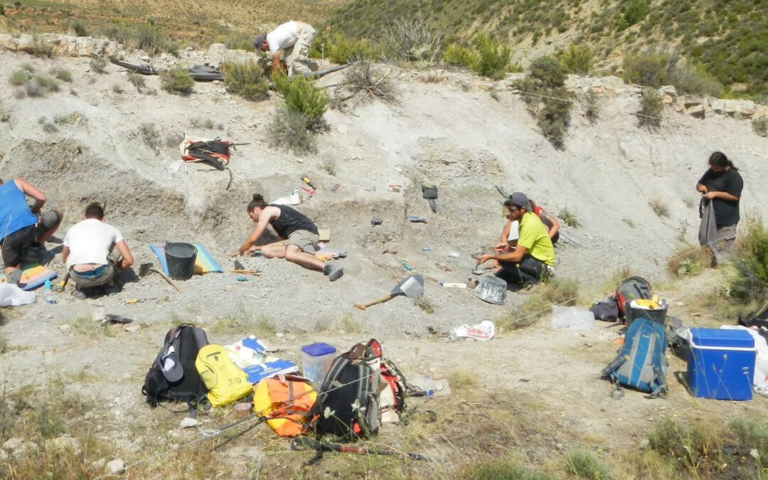 Un enigmático ornitópodo del Cretácico Inferior de Teruel