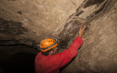 La primera rana de Libros (Mioceno superior) encontrada in situ dentro de la mina