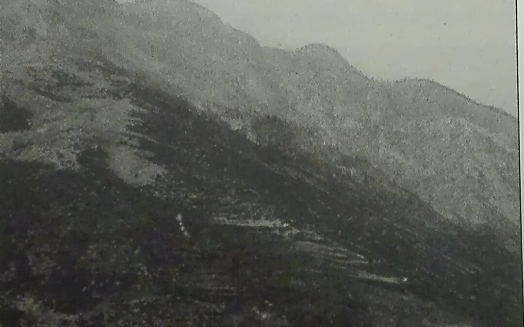 El oro en los Pirineos aragoneses