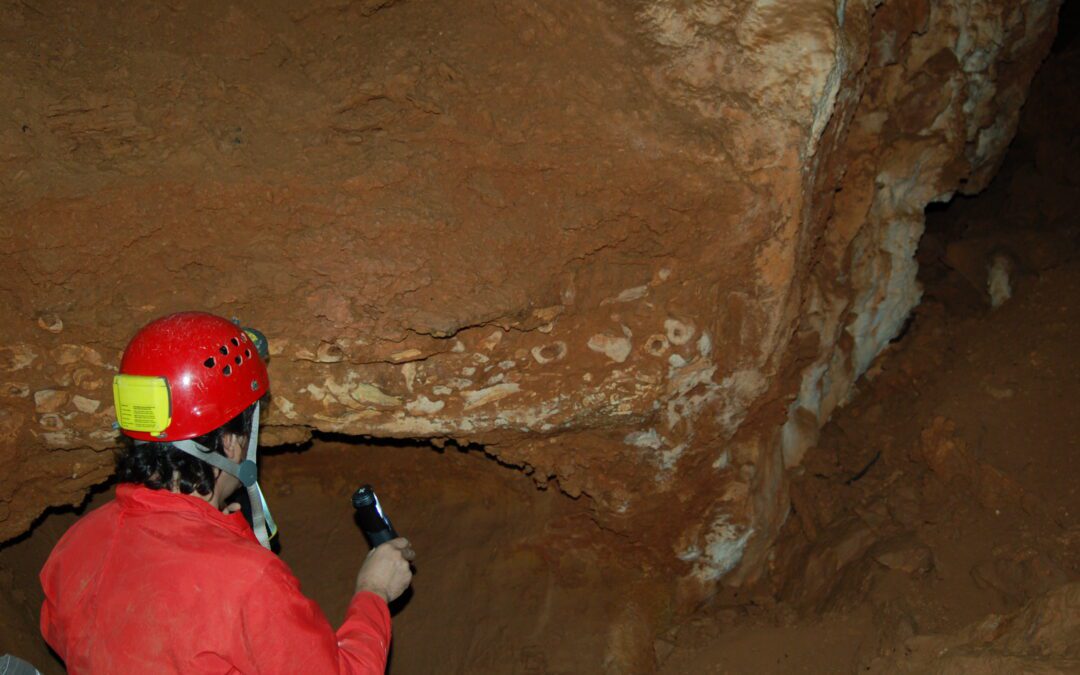 Canudo en la Cueva de los Huesos de Obón