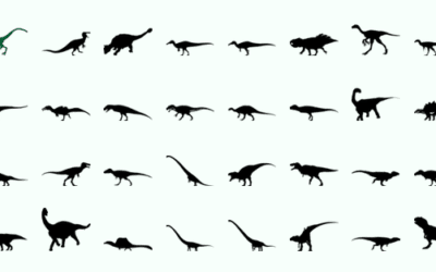 Aragosaurus recomienda: PhyloPic