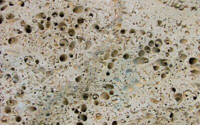 La piedra caracoleña de Fuendetodos, una roca única para la construcción