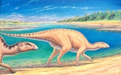 Gonkoken nanoi, un hadrosauroideo refugiado en la Patagonia chilena