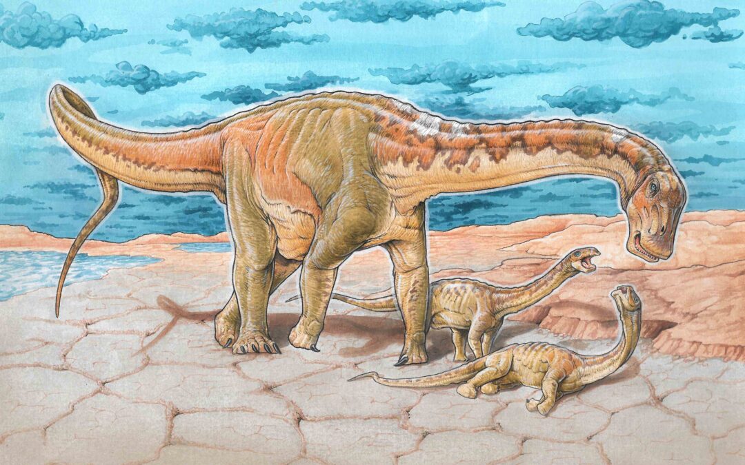 Nuevas aportaciones sobre la alimentación del saurópodo Lavocatisaurus