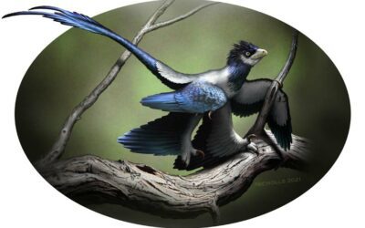 Dinosaurios iridiscentes