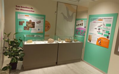 Los dinosaurios de Villanueva de Huerva (Zaragoza)