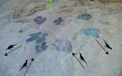 Un montón de dinosaurios paseando por los corrales del Pelejón (Galve, Teruel)