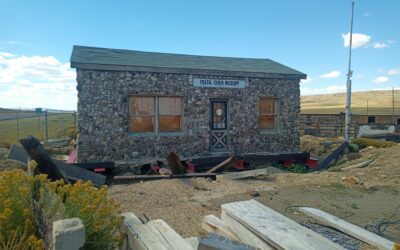 Un Museo construido con huesos de dinosaurio