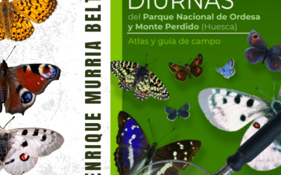 Mariposas diurnas del Parque Nacional de Ordesa