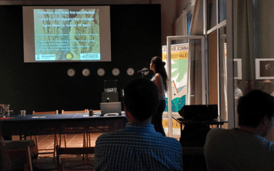 Descritas por primera vez plantas del final del Cretácico Superior en el Pirineo de Huesca