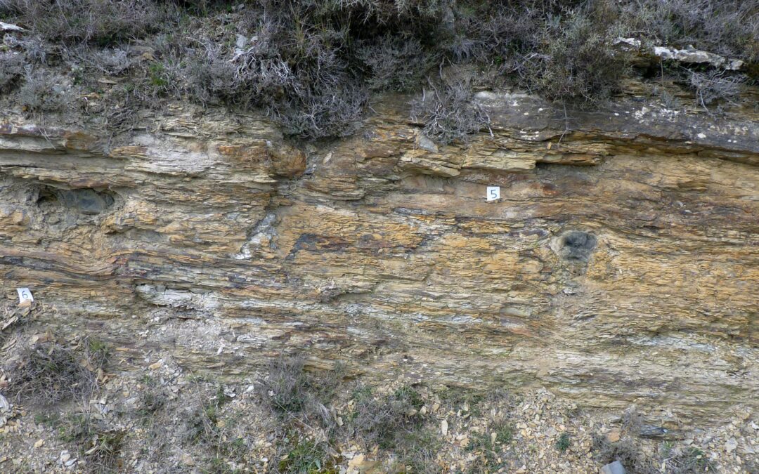 Dinosaurios y glaciares en el Cretácico de Iberia