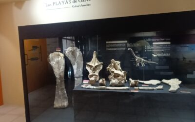 Se ha inaugurado el Museo paleontológico José María Herrero en Galve (Teruel)