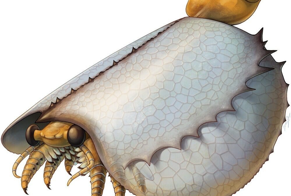 ¿Quién mató a los trilobites del Aranda?