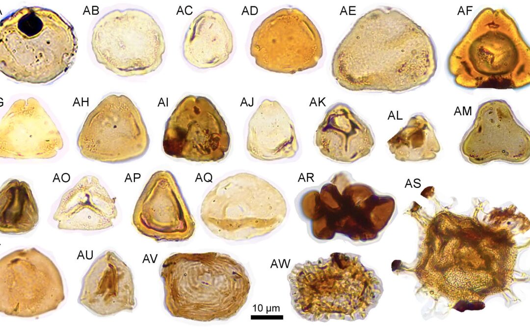 Un estudio de polen fósil del Pirineo aragonés permite conocer parte de la vegetación con la que convivieron los últimos dinosaurios de Iberia antes de la extinción