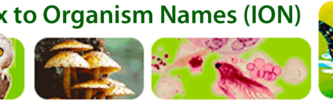 Aragosaurus recomienda: Index to Organism names