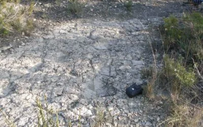 NUEVO YACIMIENTO CON ICNITAS DE GRANDES MAMÍFEROS EN LA PROVINCIA DE HUESCA