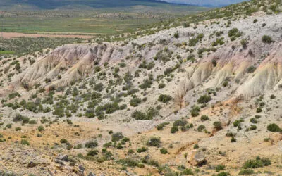 Metales críticos en las lateritas del Cretácico Inferior de la península ibérica