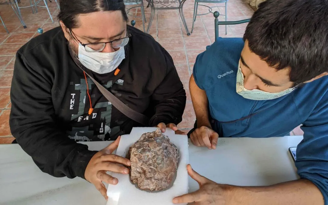 Los Huevos de dinosaurio de Loarre en el ChatGPT